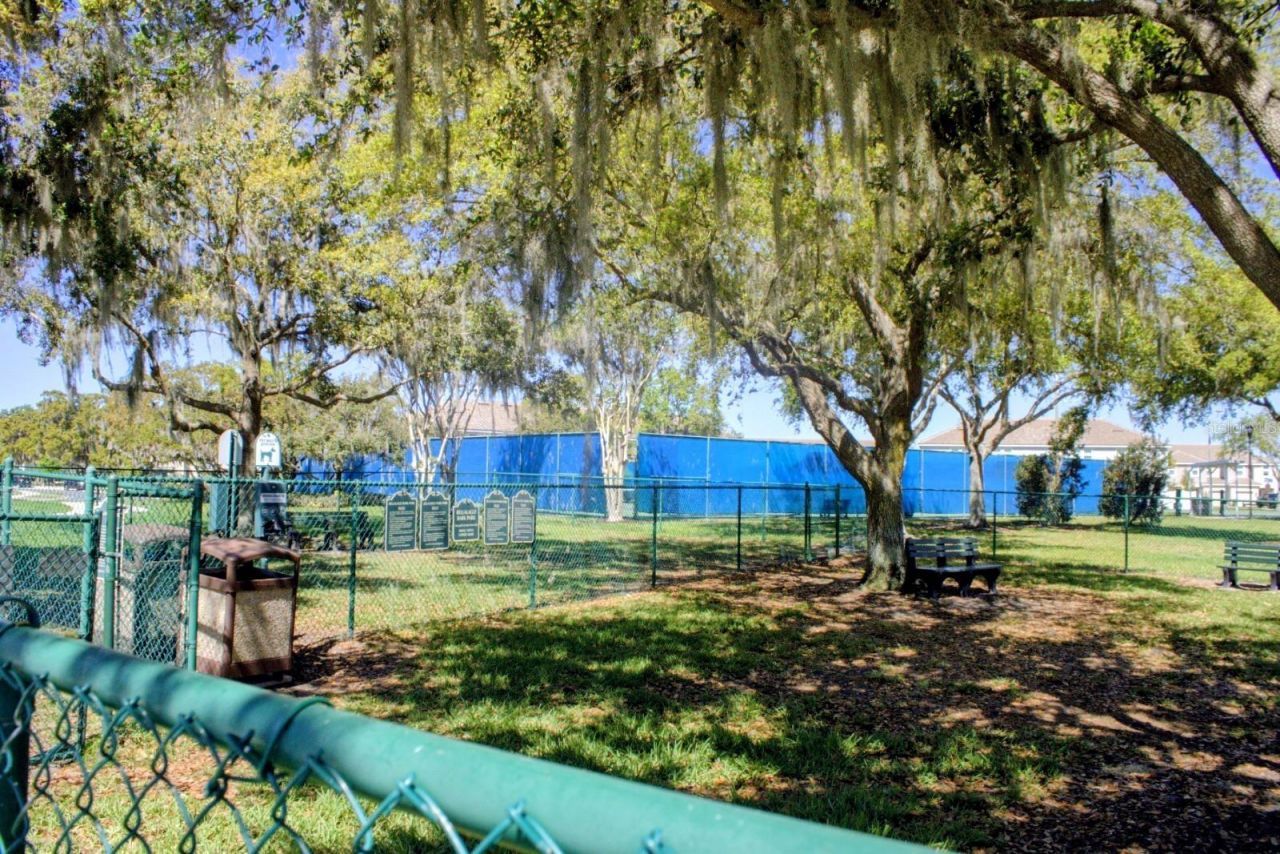 3958 Carrick Bend Drive, Kissimmee, FL 34746 Photo