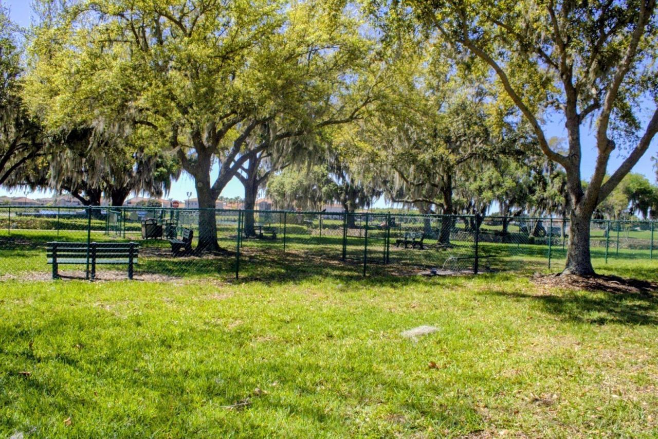 3958 Carrick Bend Drive, Kissimmee, FL 34746 Photo