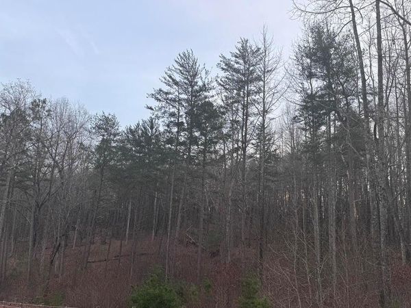 202 Emma Terrace, Dawsonville, GA 30534