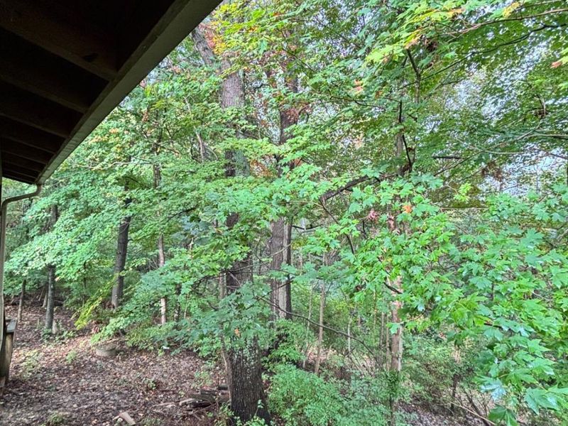 4861 Salty Lane, Union Twp, OH 45244 Photo 28