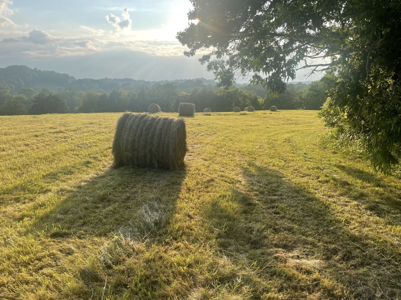 0 Agnew Rd, Pulaski, TN 38478 Main Photo