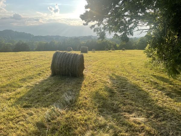 0 Agnew Rd, Pulaski, TN 38478