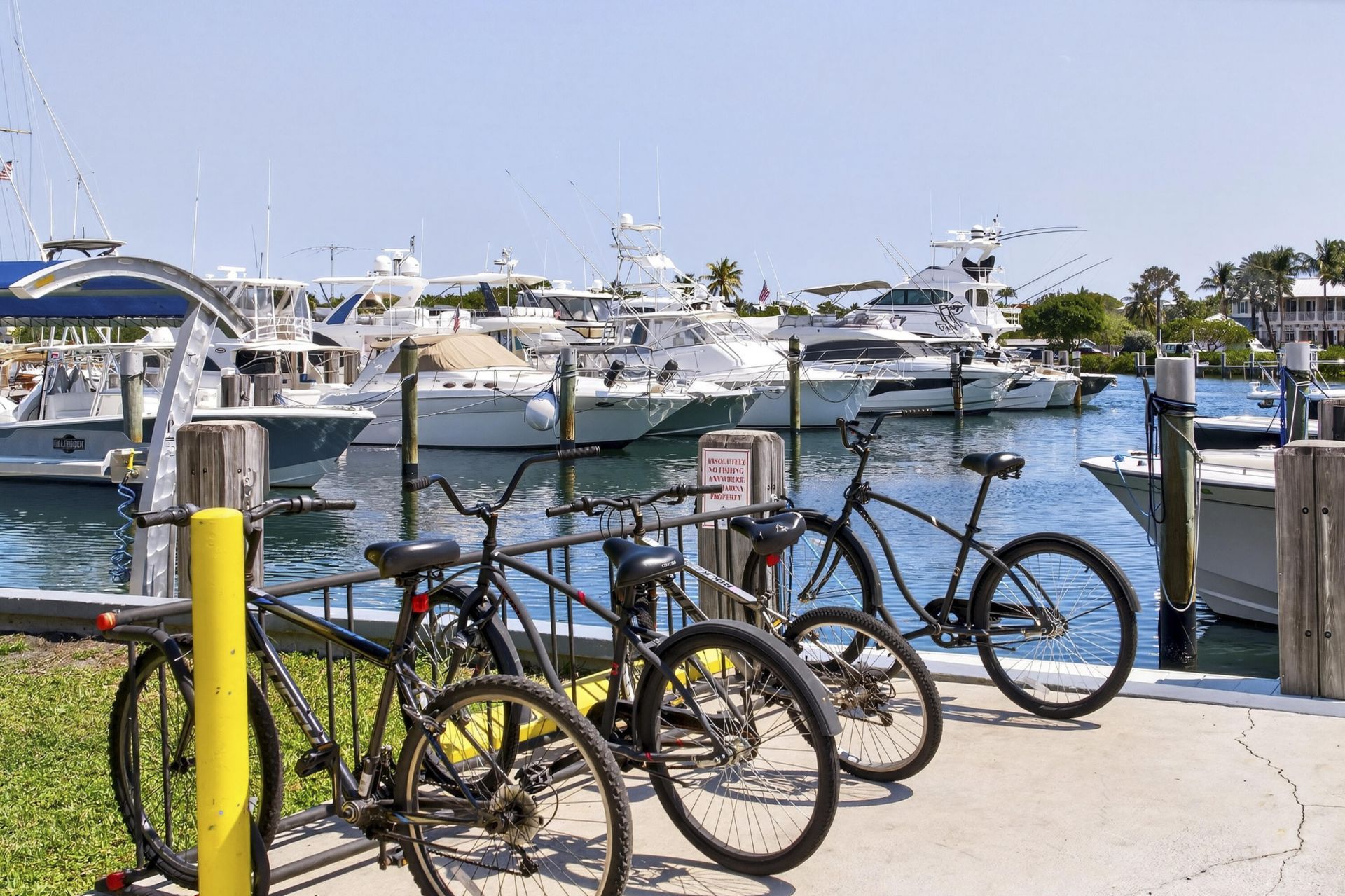 2630 NE 25th Street, Lighthouse Point, FL 33064 Photo