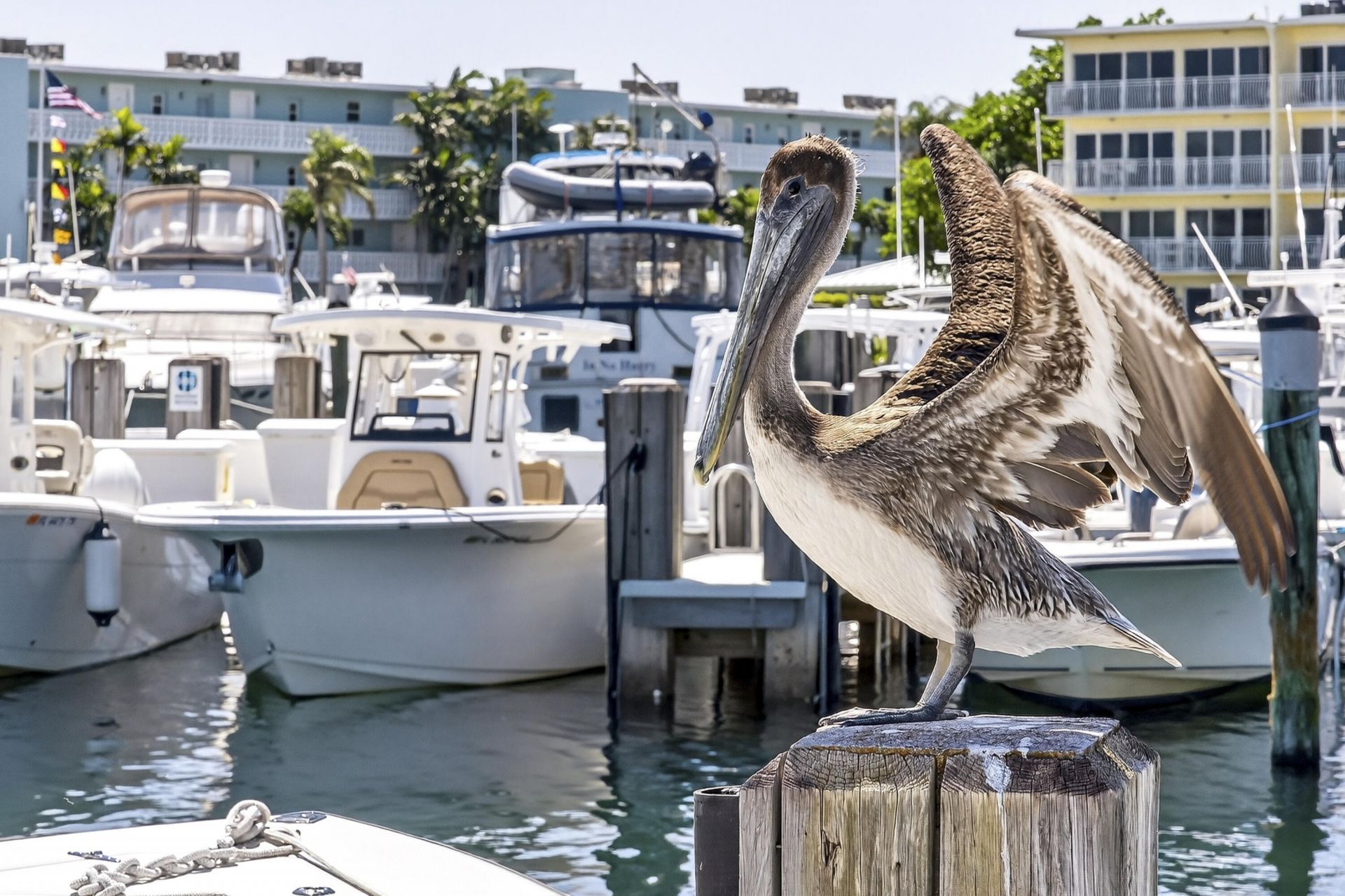 2630 NE 25th Street, Lighthouse Point, FL 33064 Photo