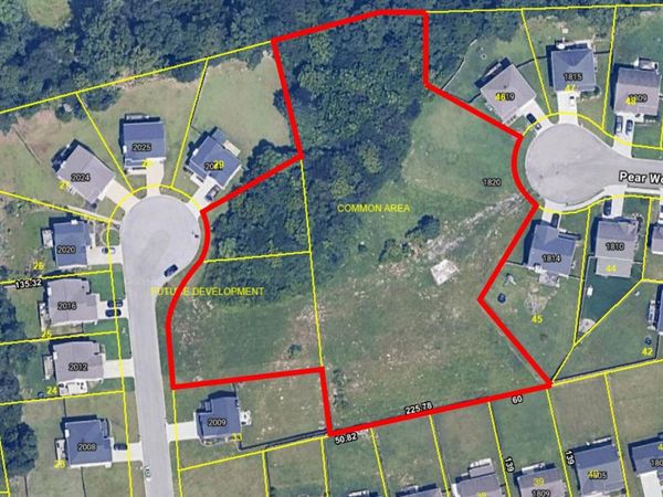 1820 Pear Wood & 0 Mahogany Wood Tr, Knoxville, TN 37920