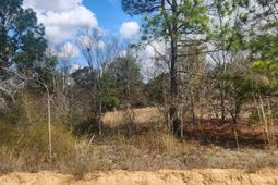 North Fork Road photo 4