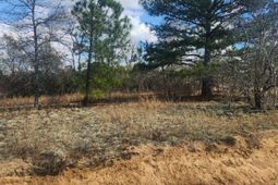 North Fork Road photo 4