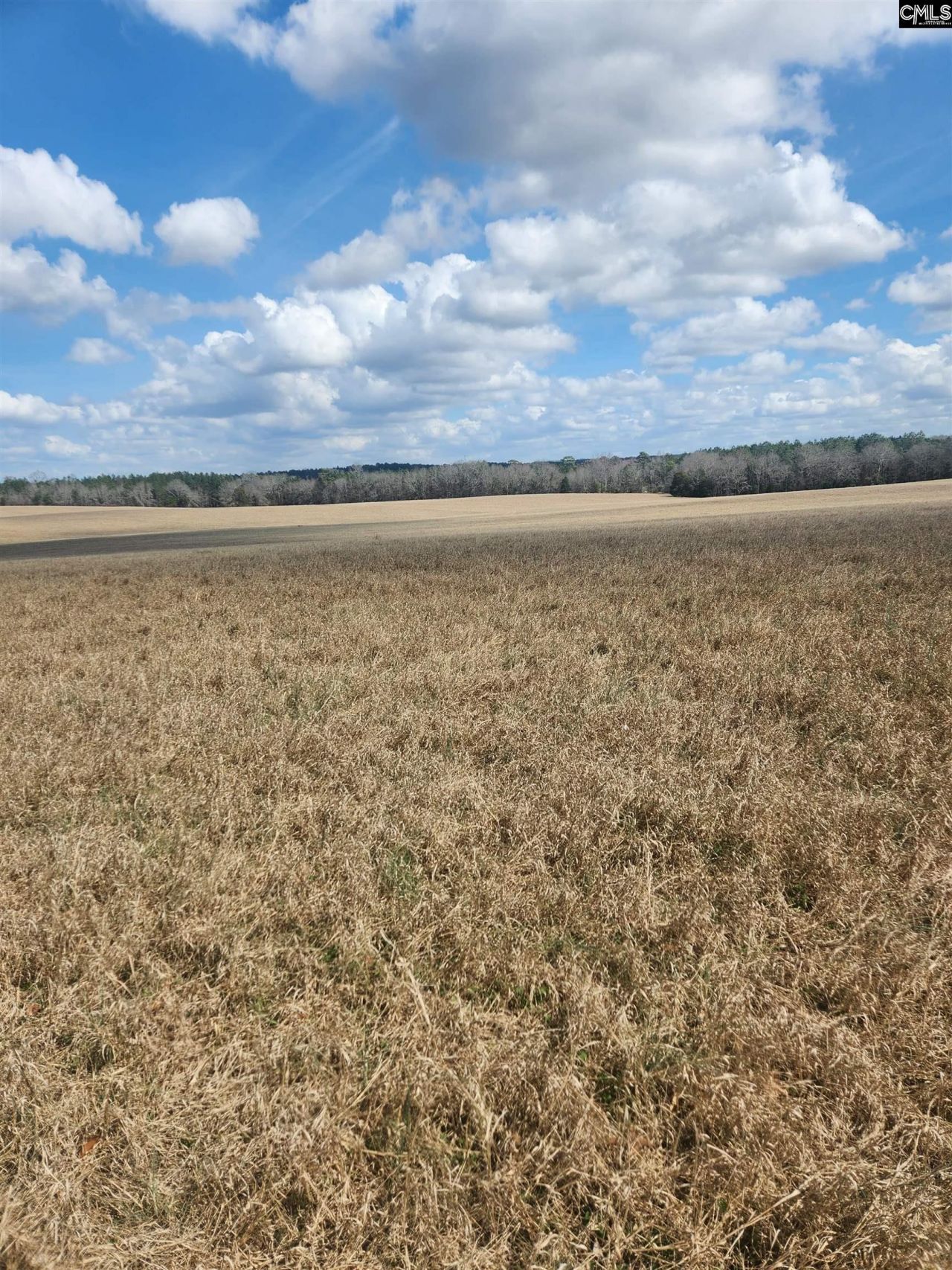 North Fork Road Photo 4