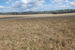 North Fork Road photo 4