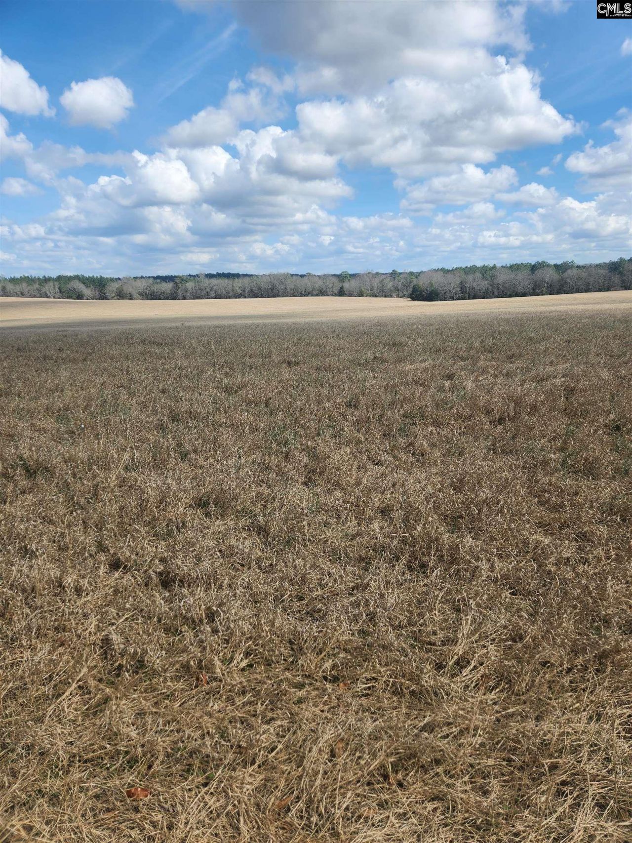 North Fork Road Photo 5