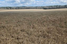 North Fork Road photo 4