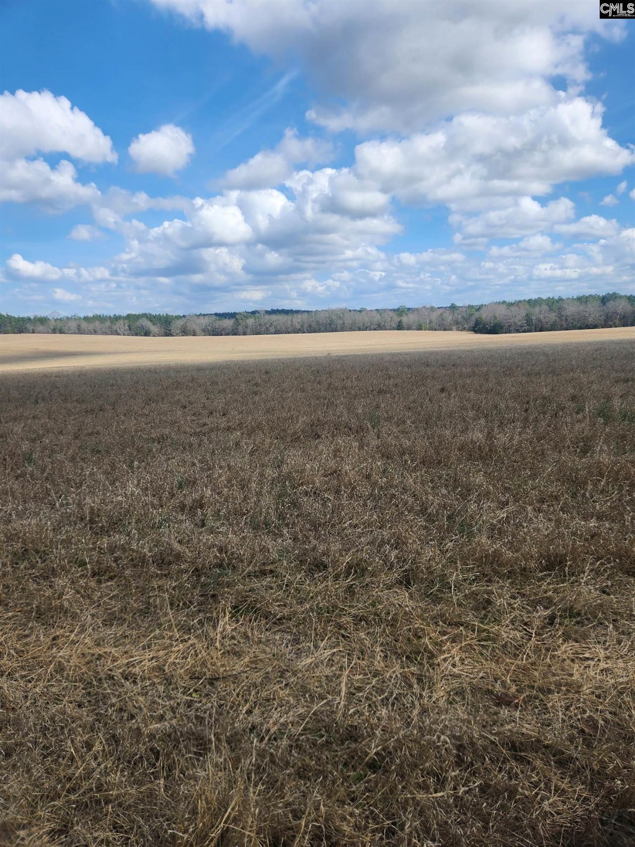 North Fork Road Photo 6