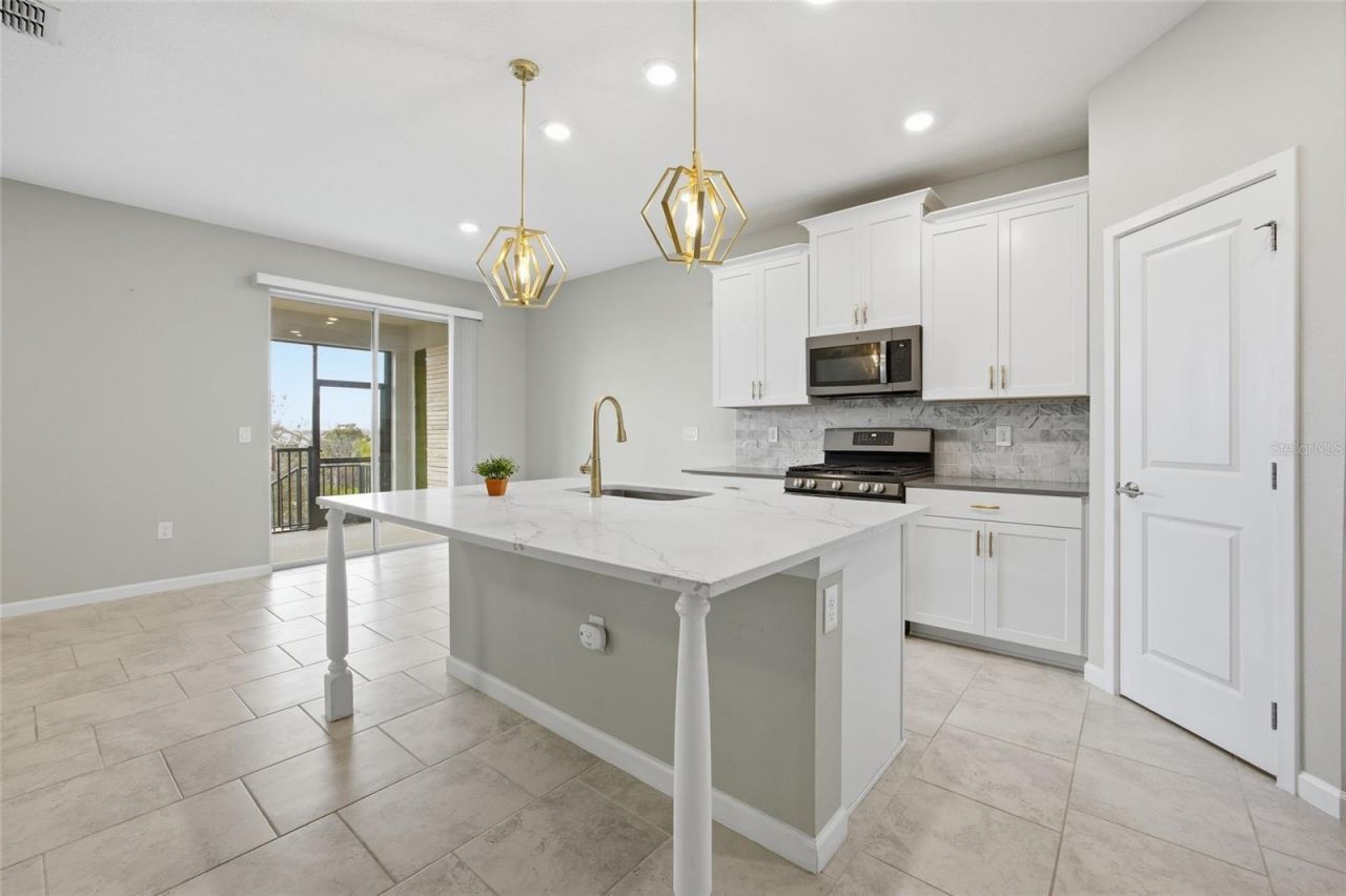 1131 Dora Parc Lane, Mount Dora, FL 32757 Photo