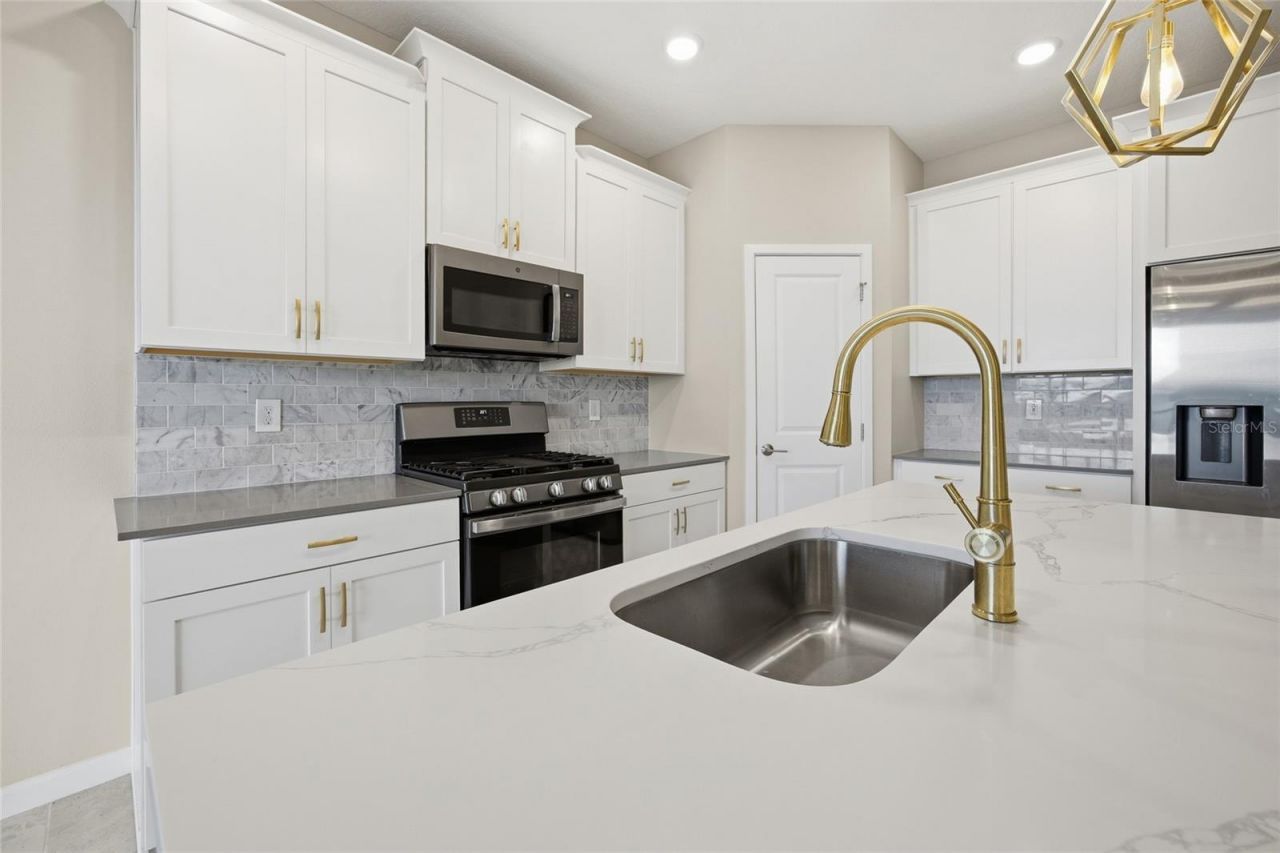 1131 Dora Parc Lane, Mount Dora, FL 32757 Photo