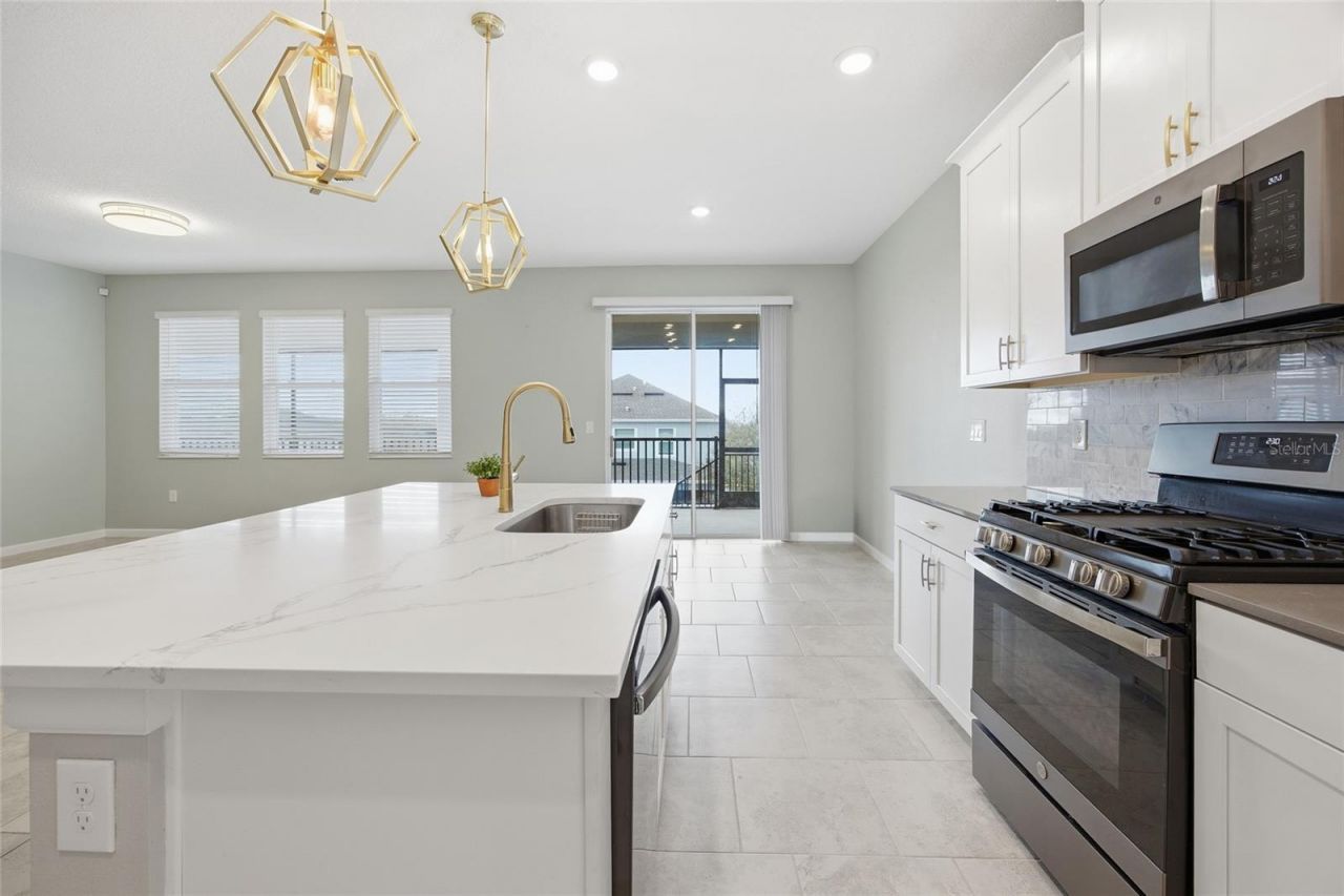 1131 Dora Parc Lane, Mount Dora, FL 32757 Photo