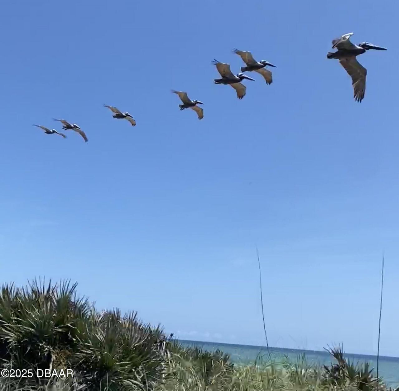 3000 Ocean Shore Boulevard, Unit 15, Ormond Beach, FL 32176 Photo