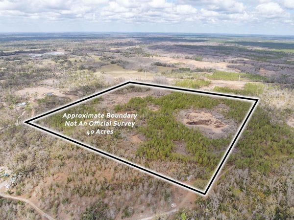Vacant 40 Acres Ellison Frith Road, Perry, FL 32348