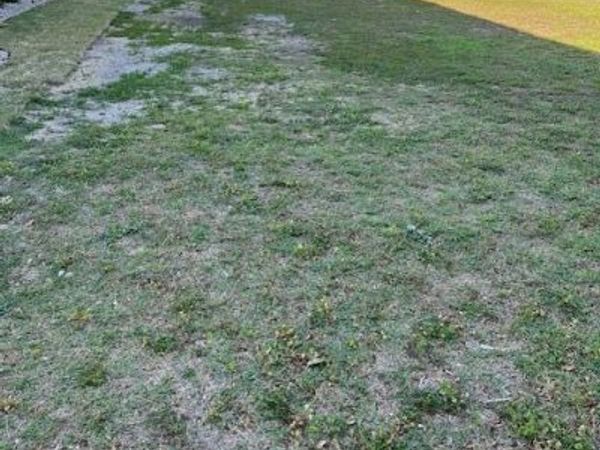 781 Cannonsgate Drive , Newport, NC 28570