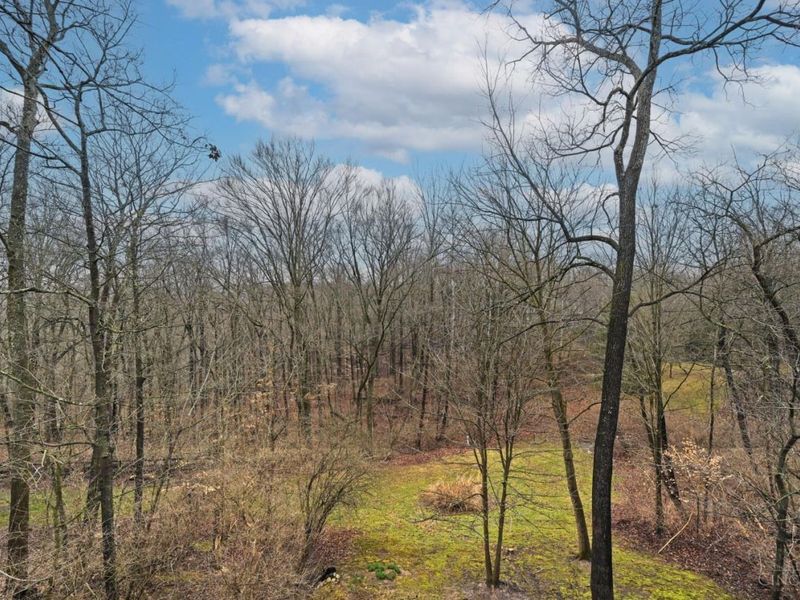 854 Country Club Drive, Pierce Twp, OH 45245 Photo 40