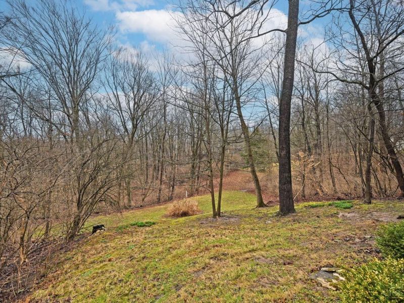 854 Country Club Drive, Pierce Twp, OH 45245 Photo 52