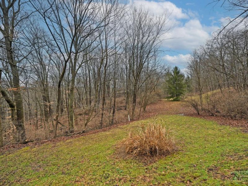 854 Country Club Drive, Pierce Twp, OH 45245 Photo 53