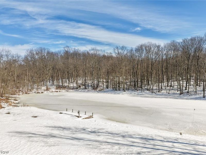 9419 Robinson Road, Chardon, OH 44024 Photo 39