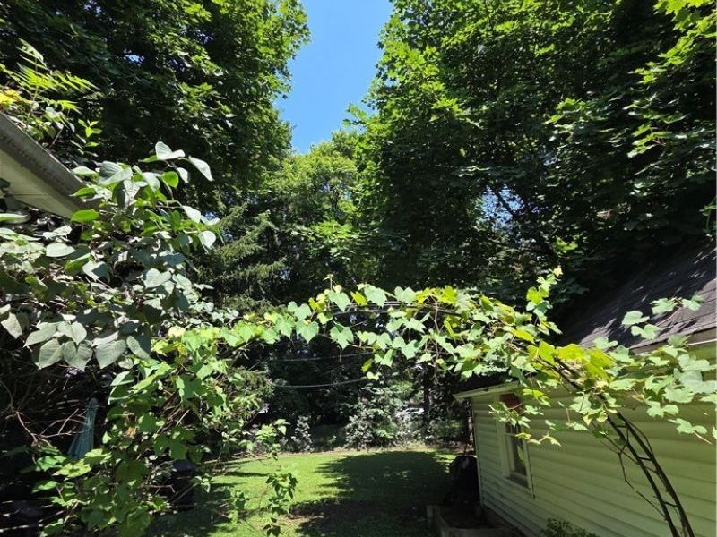 31 Medford Avenue, Akron, OH 44310 Photo 33