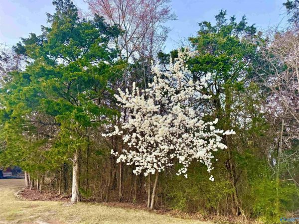 902 Whispering Pines Trail, Decatur, AL 35603