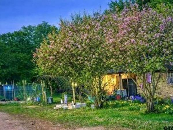 3640 Van Zandt County Road, Ben Wheeler, TX 75754