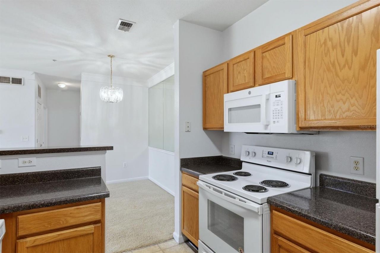 4802 51st Street W, Unit 1703, Bradenton, FL 34210 Photo