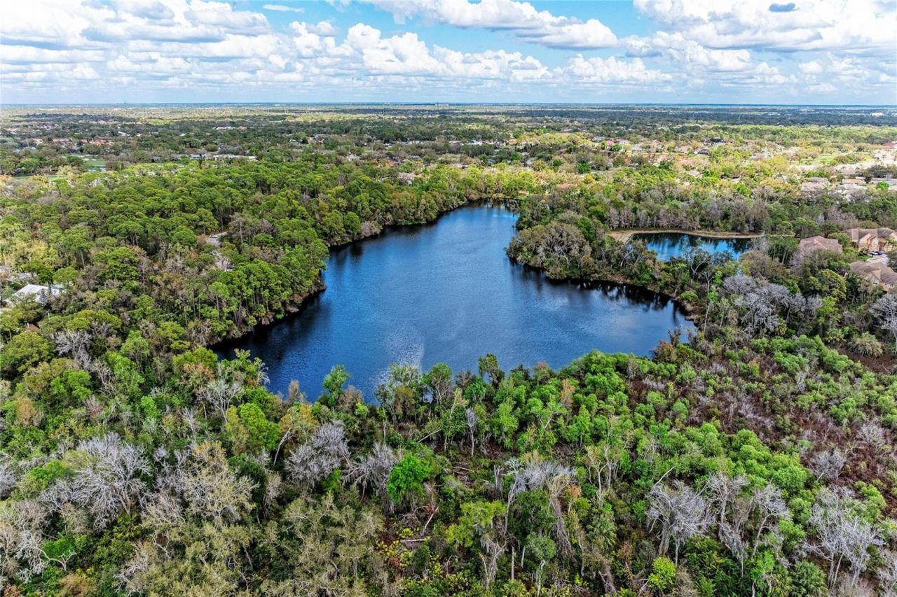 8160 Villa Grande Ct , Sarasota, FL 34243 Photo