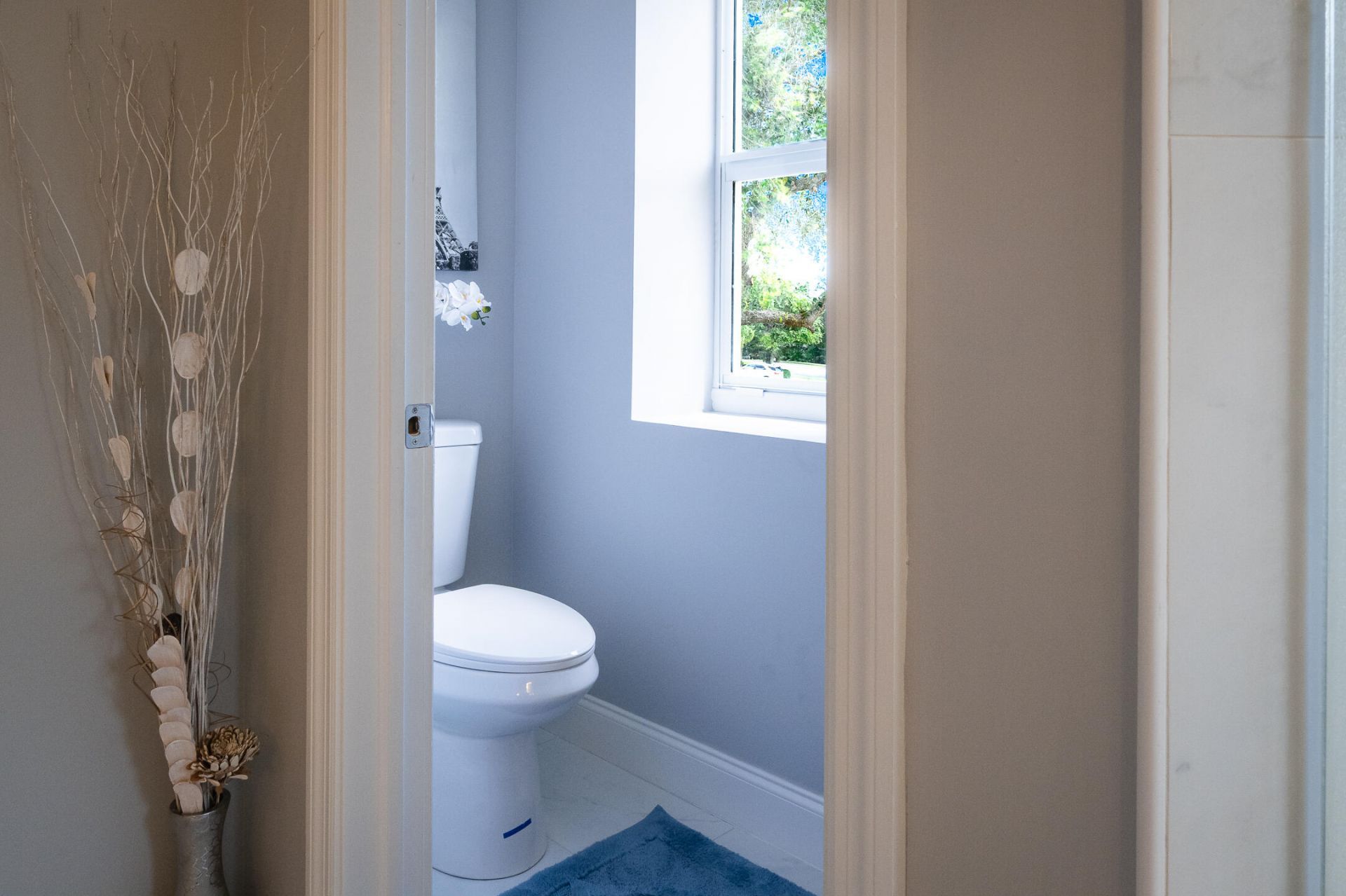 5569 SE Hammock Reserve Terrace, Hobe Sound, FL 33455 Photo