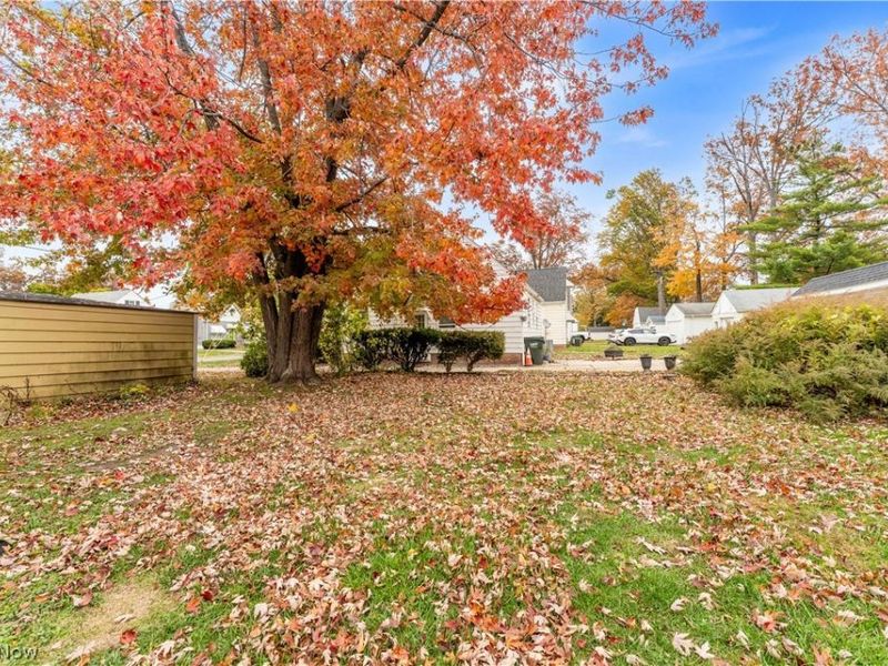 441 E 250th Street, Euclid, OH 44132 Photo 24