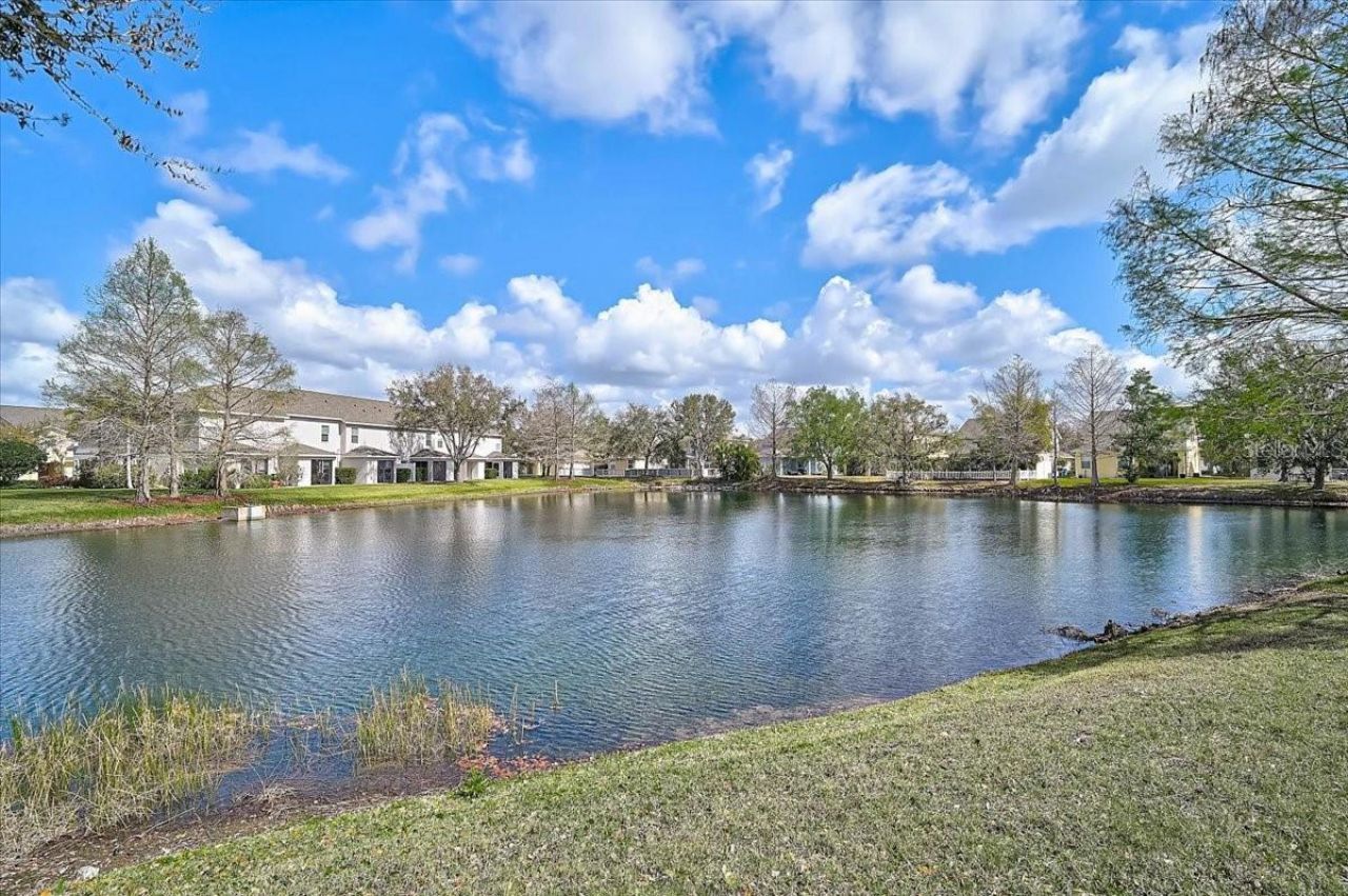 14931 Amberjack Terrace , Lakewood Ranch, FL 34202 Photo