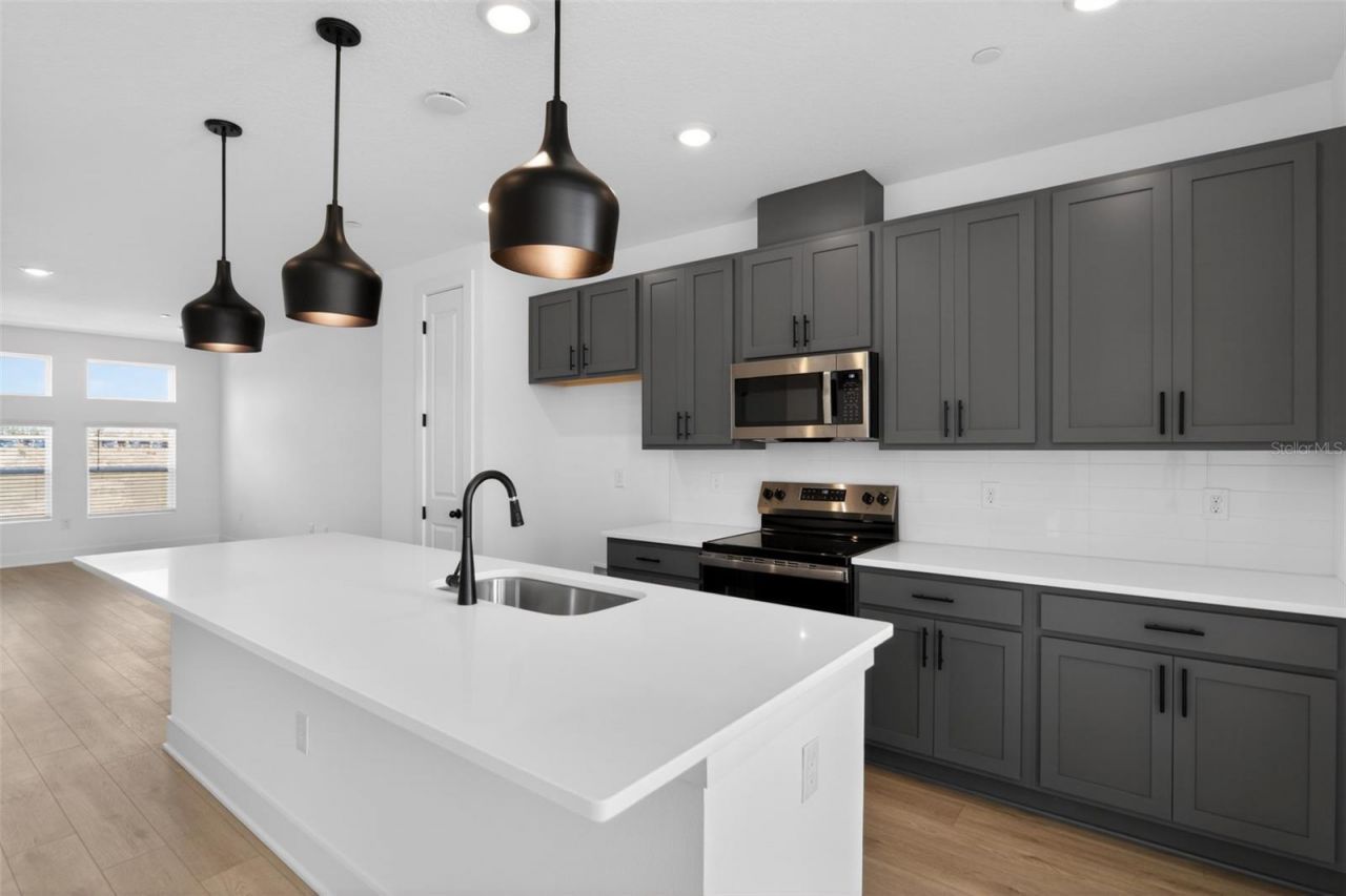 15333 Hamlin Park Drive , Winter Garden, FL 34787 Photo