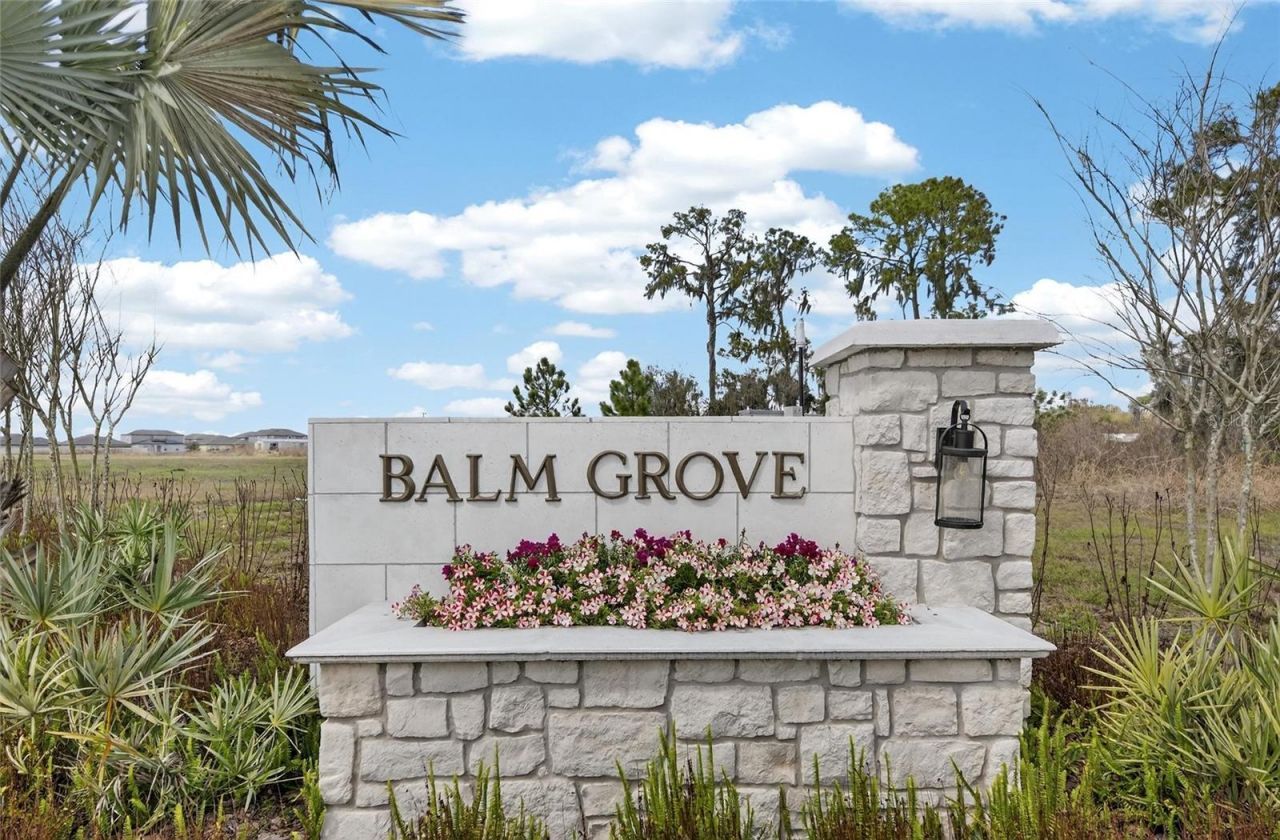 13054 Violet Flame Avenue, Wimauma, FL 33598 Photo