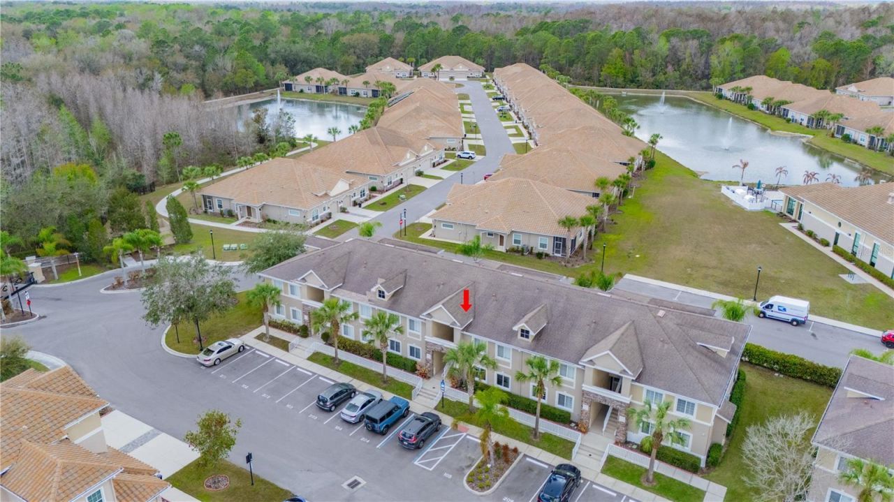 1195 Godavari Way, Unit 104, Wesley Chapel, FL 33543 Photo