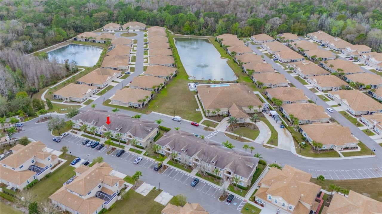 1195 Godavari Way, Unit 104, Wesley Chapel, FL 33543 Photo