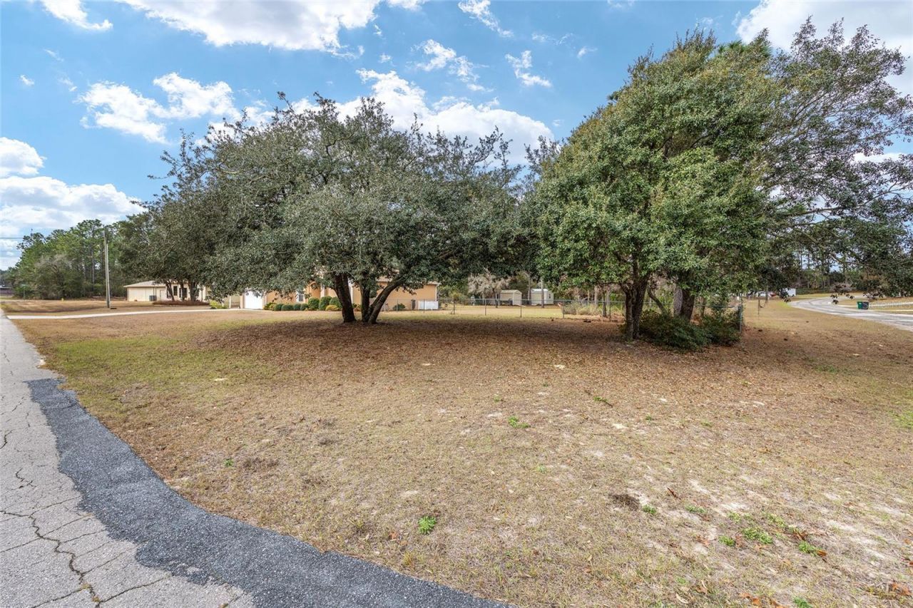 8290 N Ronda Drive , Citrus Springs, FL 34433 Photo