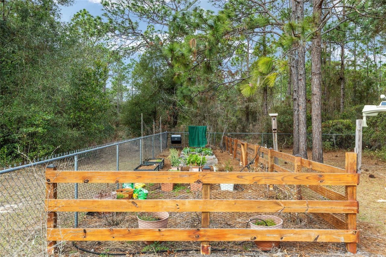 8290 N Ronda Drive , Citrus Springs, FL 34433 Photo