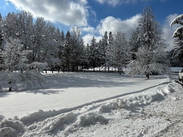 61 Fuller Rd, Palmer, MA 01069