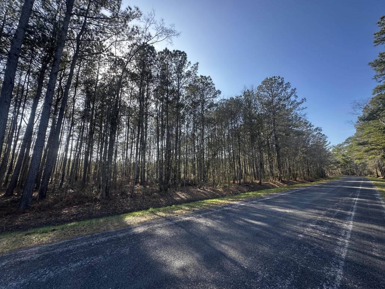 801 Gar Road Photo 4