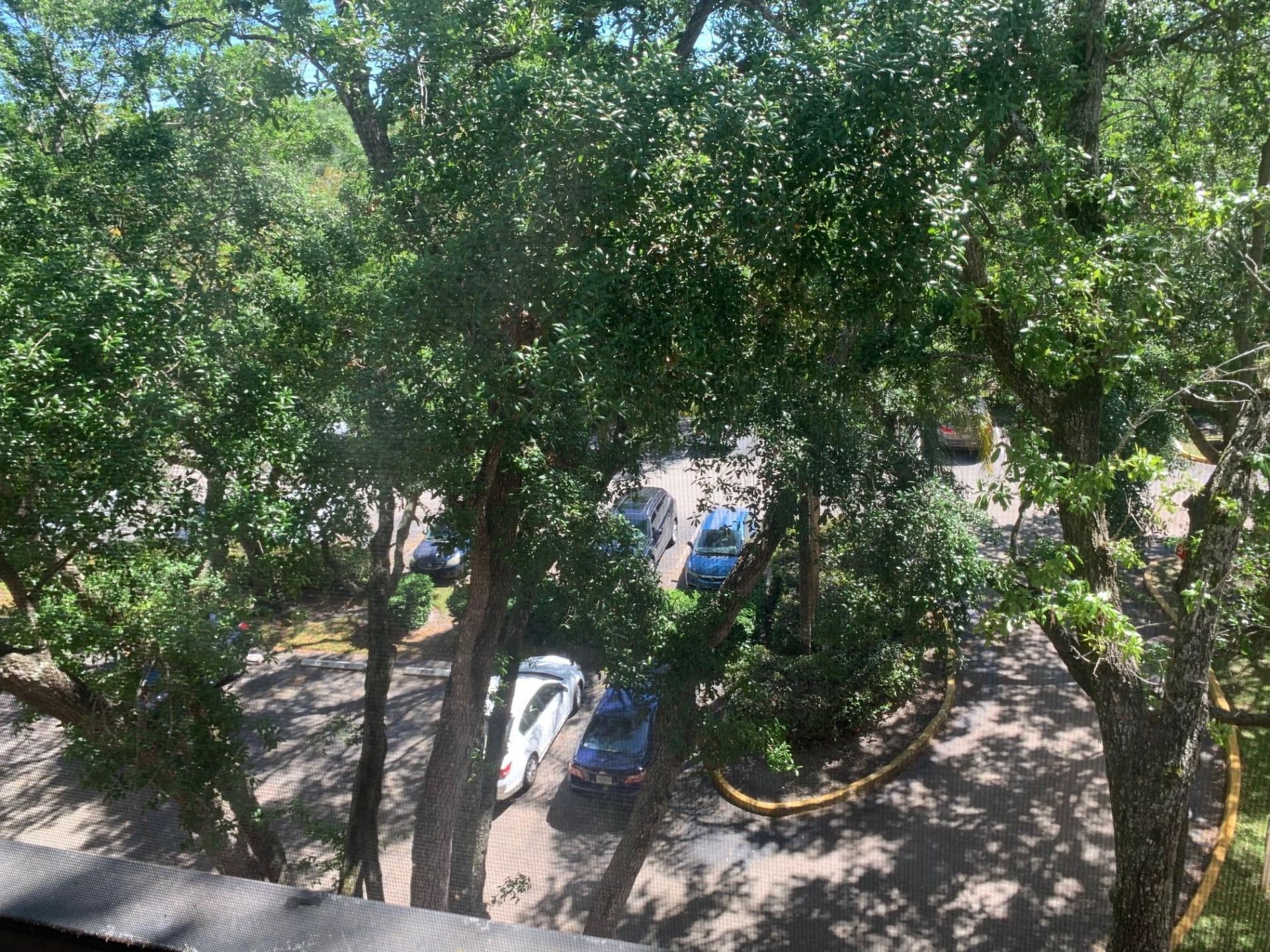 6800 Cypress Road, Unit 514, Plantation, FL 33317 Photo