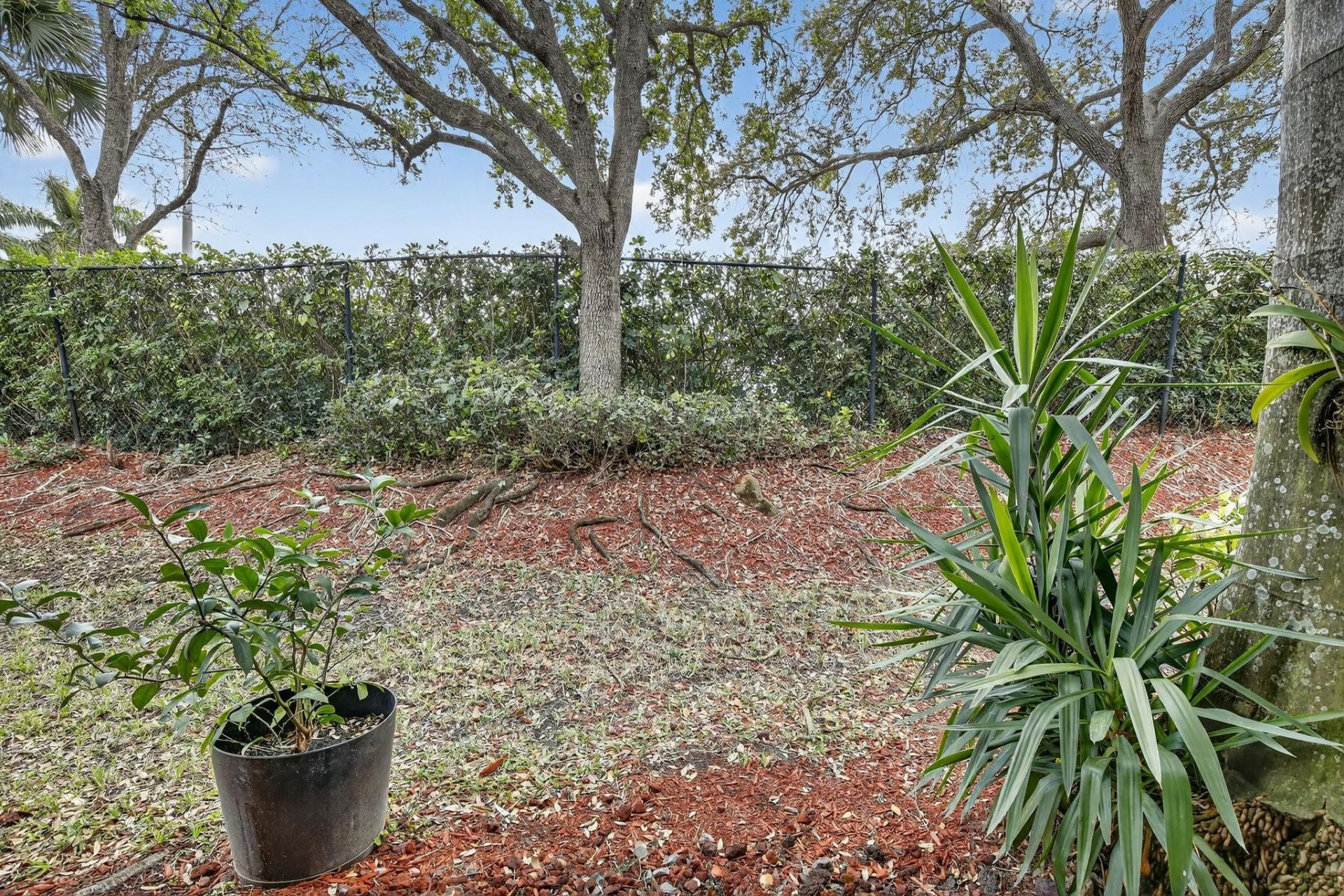 4134 Forest Drive, Weston, FL 33332 Photo