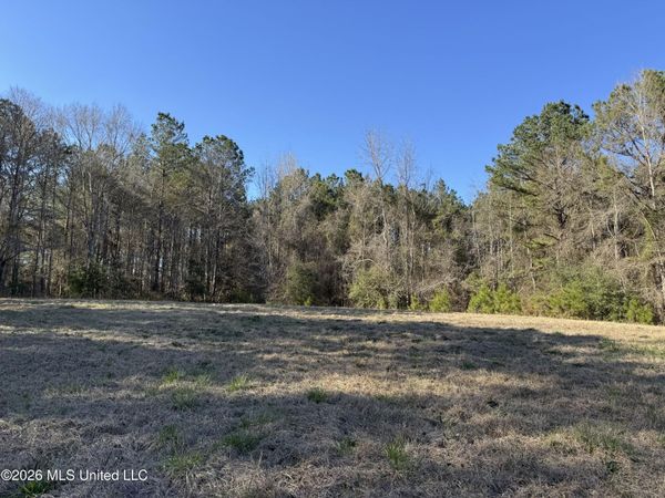 29 Sontag-Nola Road, Sontag, MS 39665