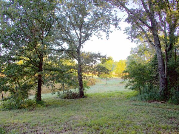 4510 FAYETTE CORNERS DR, Somerville, TN 38068