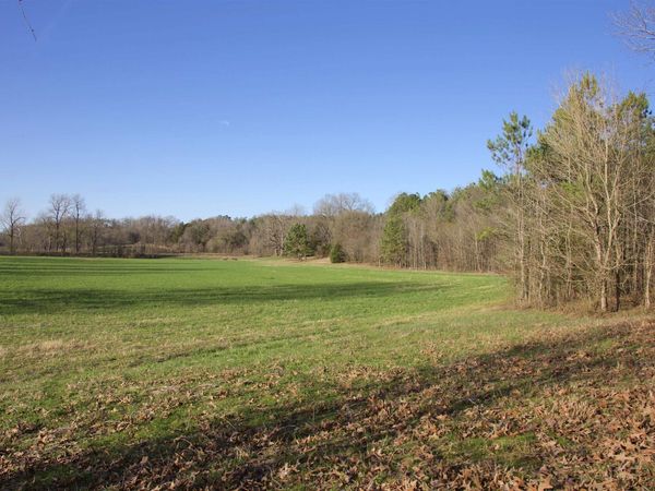 4510 FAYETTE CORNERS DR, Somerville, TN 38068
