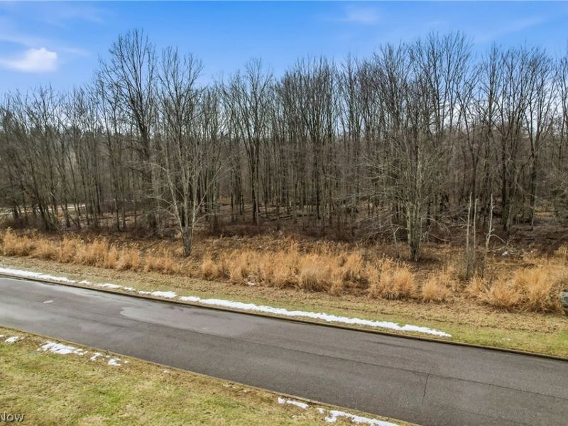 Lakeview Drive, Hubbard, OH 44425 Photo 3