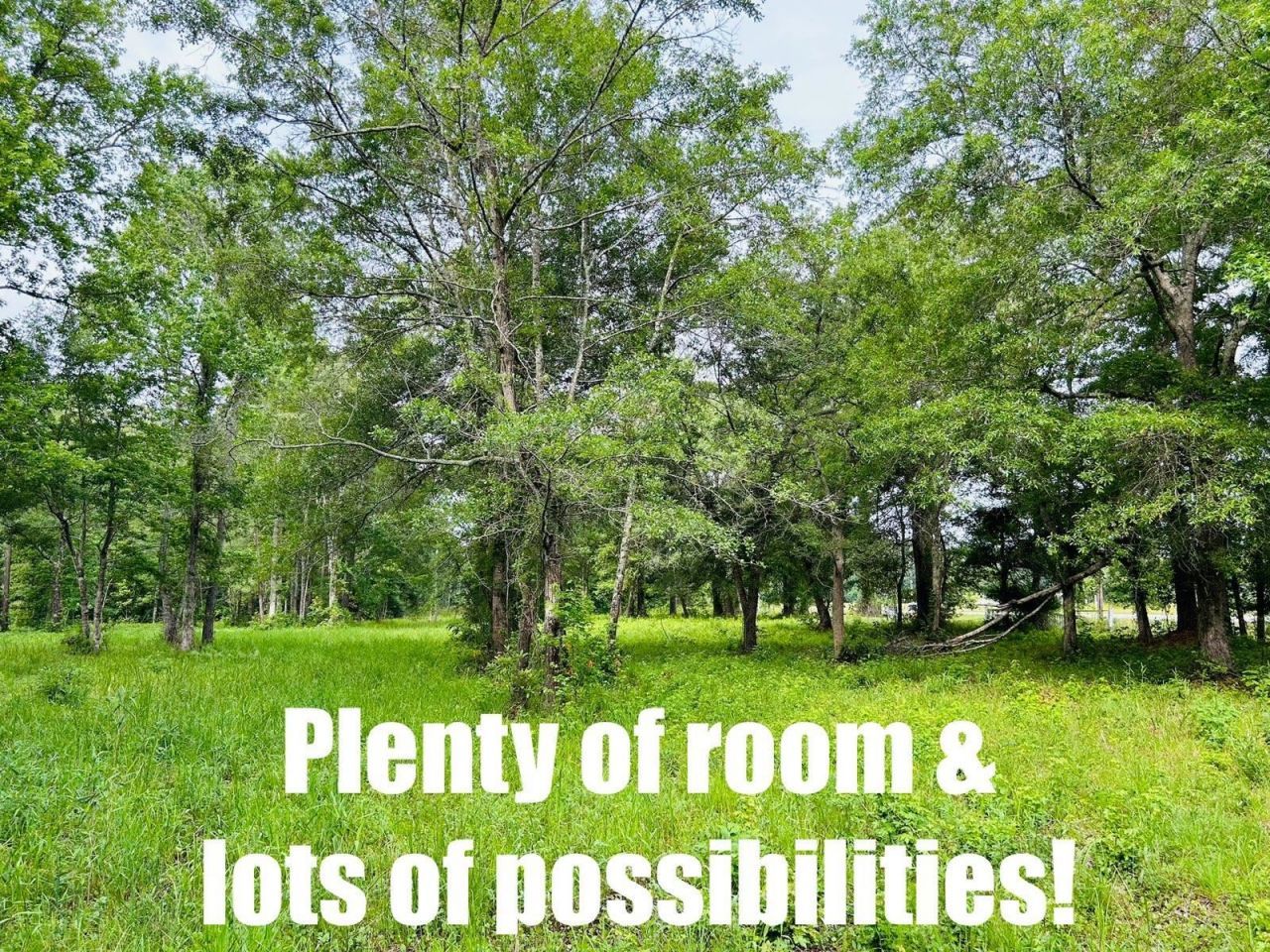 9985 Highway 17 North  Photo 10