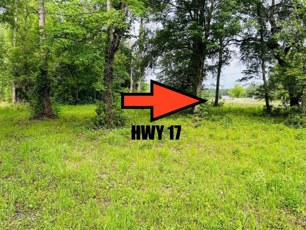 9985 Highway 17 North  Photo 12